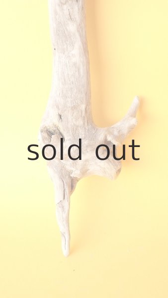 画像2: 変形流木 (2)