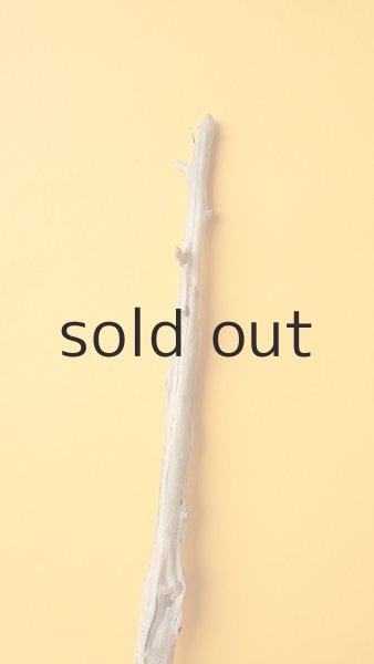 画像4: 変形流木 (4)