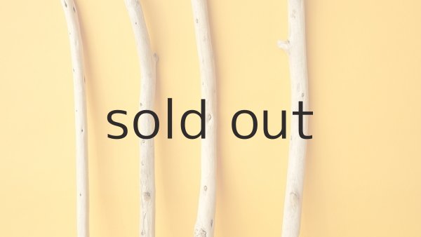 画像3: 棒流木セット (3)