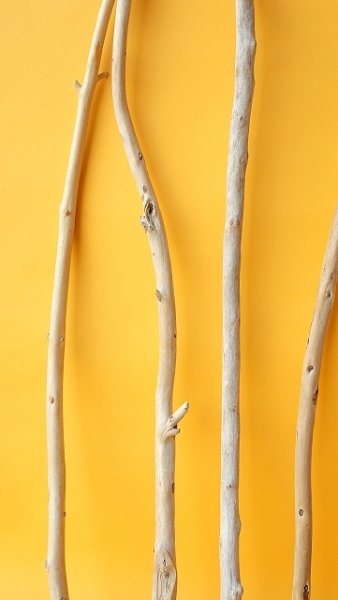 画像5: 棒流木セット (5)