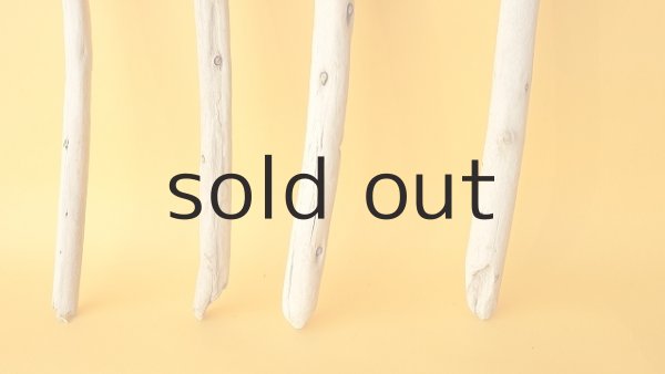 画像2: 棒流木セット (2)