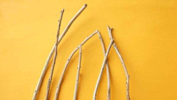 画像4: 棒流木セット (4)