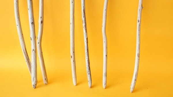 画像2: 棒流木セット (2)