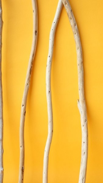 画像6: 棒流木セット (6)