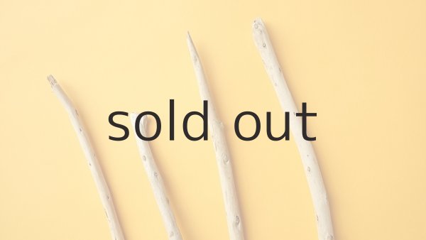 画像4: 棒流木セット (4)