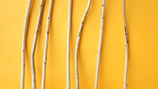 画像3: 棒流木セット (3)