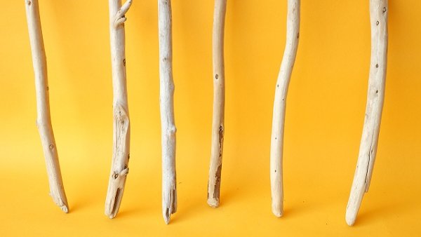 画像2: 棒流木セット (2)