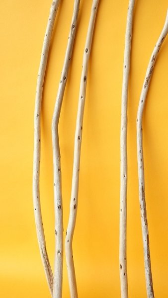 画像5: 棒流木セット (5)