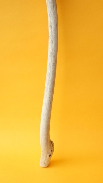 画像2: 枝流木 (2)