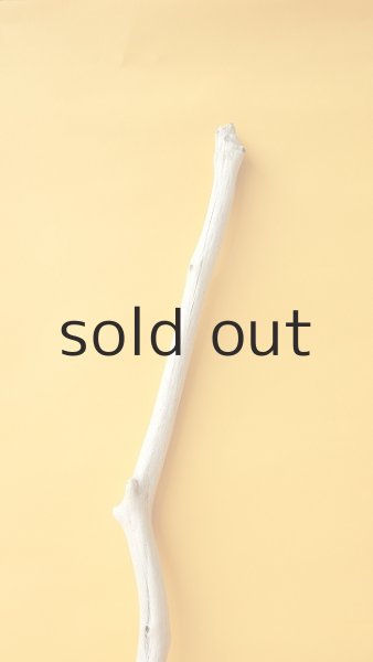 画像4: 枝流木 (4)