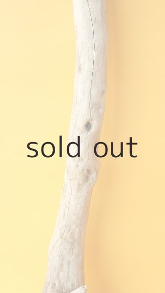 画像3: 枝流木 (3)