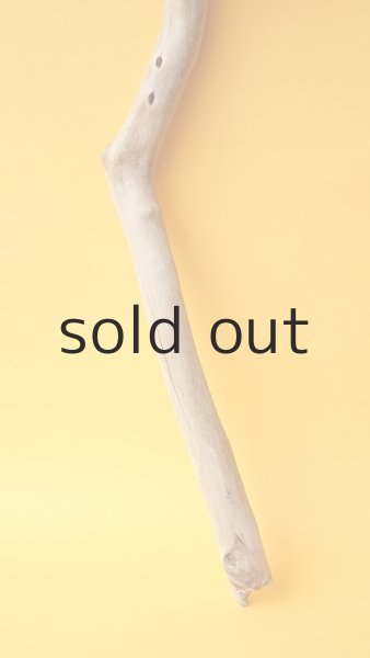 画像2: 枝流木 (2)