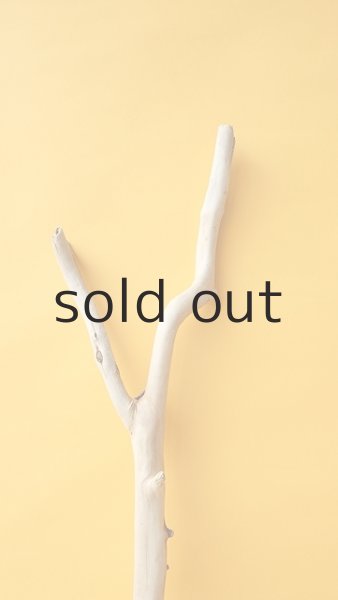 画像4: 枝流木 (4)