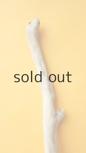 画像4: 枝流木 (4)