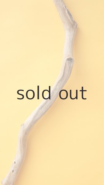 画像4: 枝流木 (4)