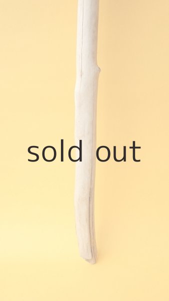 画像2: 枝流木 (2)