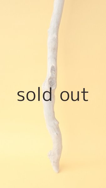 画像2: 枝流木 (2)