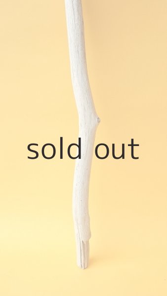 画像2: 枝流木 (2)