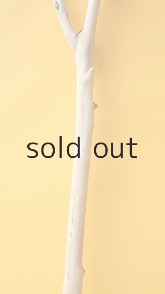 画像3: 枝流木 (3)