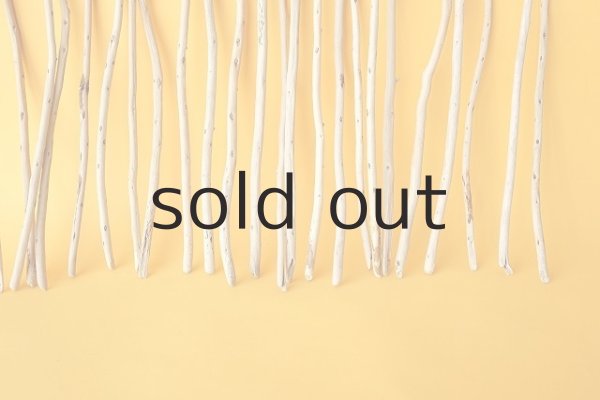 画像5: 棒流木・極細セット (5)