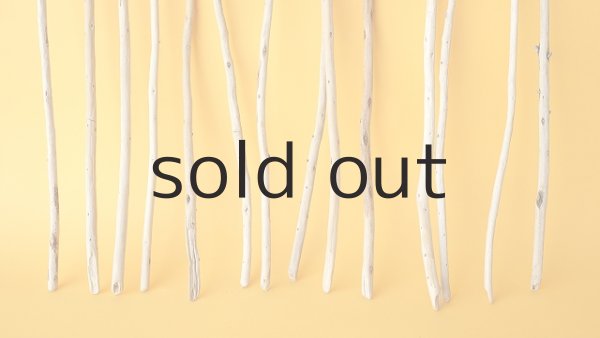 画像2: 棒流木・極細セット (2)