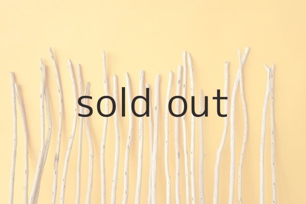 画像6: 棒流木・極細セット (6)