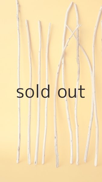 画像4: 棒流木・極細セット (4)