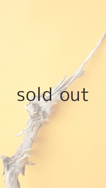 画像3: 流木根 (3)