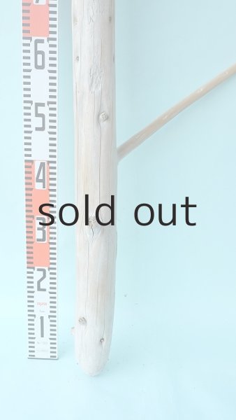 画像6: 幹流木 (6)