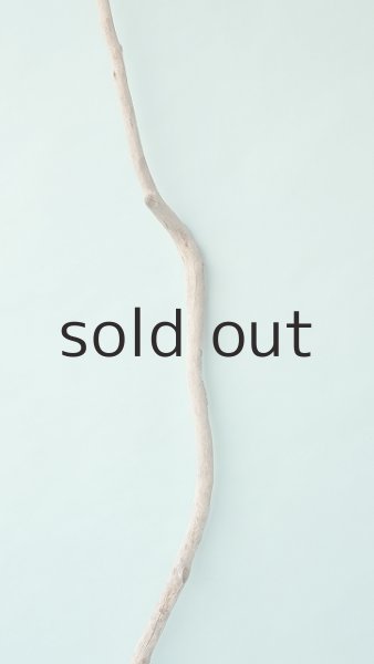 画像4: 枝流木 (4)