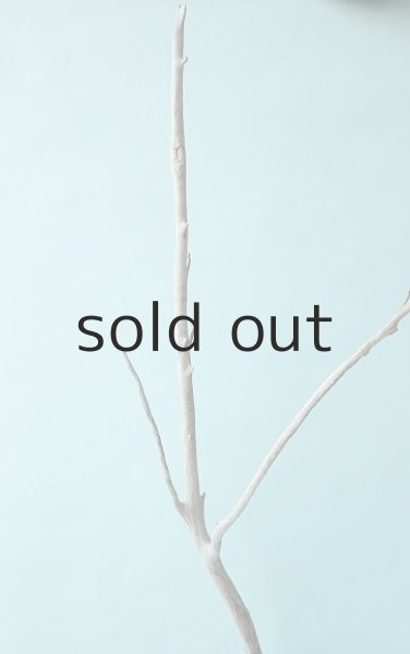 画像4: 枝流木 (4)