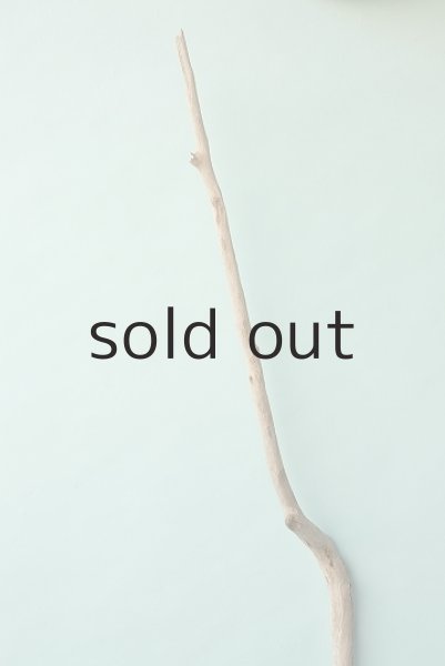 画像5: 枝流木 (5)