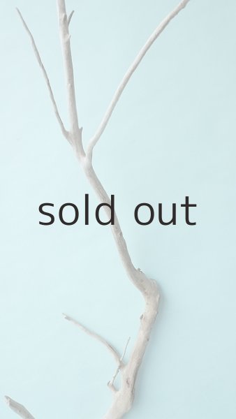 画像5: 枝流木 (5)