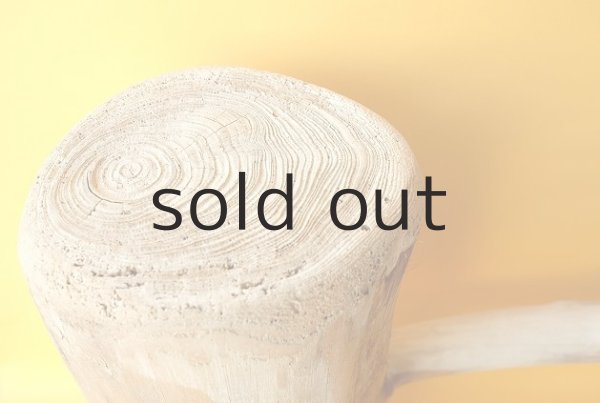 画像2: 幹流木 (2)