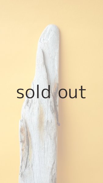 画像4: 板流木 (4)