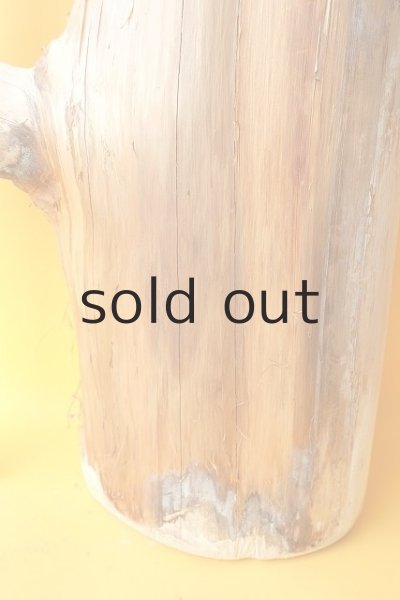 画像5: 幹流木 (5)