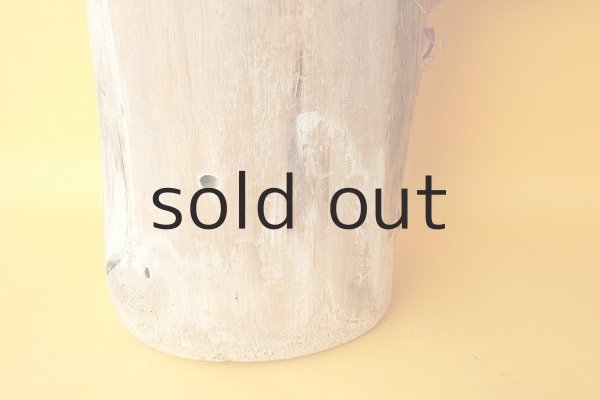 画像4: 幹流木 (4)