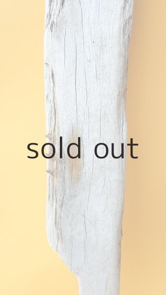 画像3: 板流木 (3)
