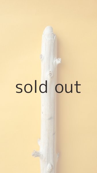 画像4: 幹流木 (4)