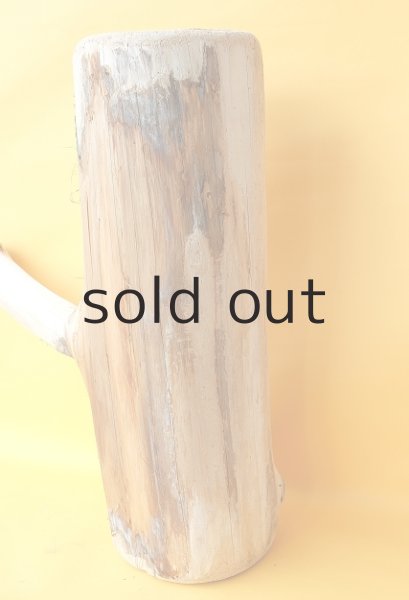 画像6: 幹流木 (6)