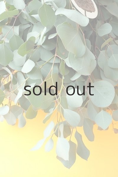 画像5: Dry plants for decor ユーカリシンプルスワッグ (5)