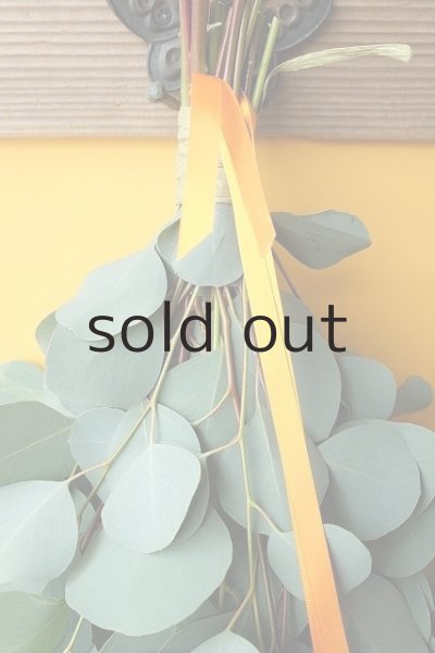 画像2: Dry plants for decor ユーカリシンプルスワッグ (2)