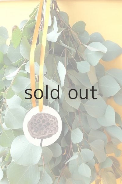 画像4: Dry plants for decor ユーカリシンプルスワッグ (4)