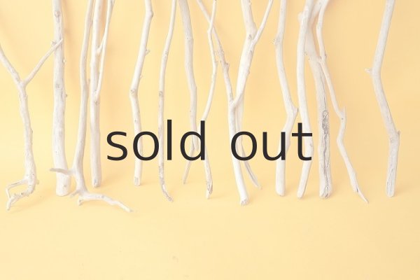 画像5: 小枝流木セット (5)