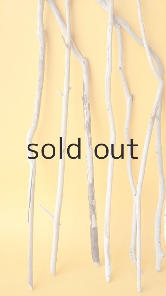 画像5: 小枝流木セット (5)