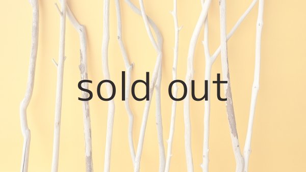 画像3: 小枝流木セット (3)