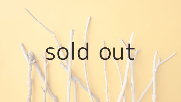 画像4: 小枝流木セット (4)