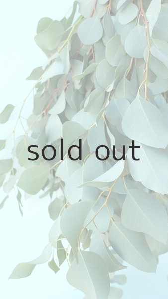 画像4: Dry plants for decor ユーカリシンプルスワッグ (4)