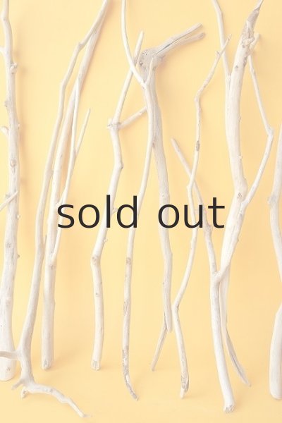 画像3: 小枝流木セット (3)