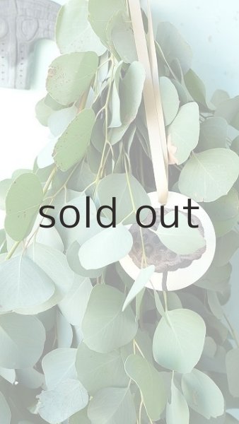 画像3: Dry plants for decor ユーカリシンプルスワッグ (3)